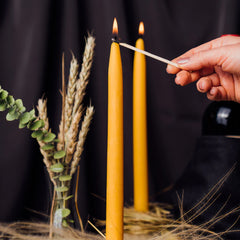 Qirrinj nga dylli i bletes 6 cope