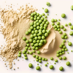 Protein Bizelesh Bio 500gr