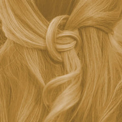 Professional plant-based hair color warm summer blonde "warm summer blond" 90g refill pack - without red tones