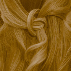 Professional plant-based hair color warm honey blonde "warm honey blond" 90g refill pack