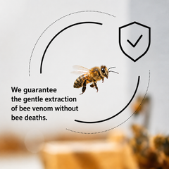 Anti-wrinkle bee venom serum