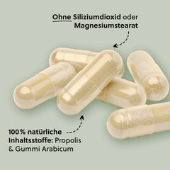 Kapsula Propolis 60 Kapsula