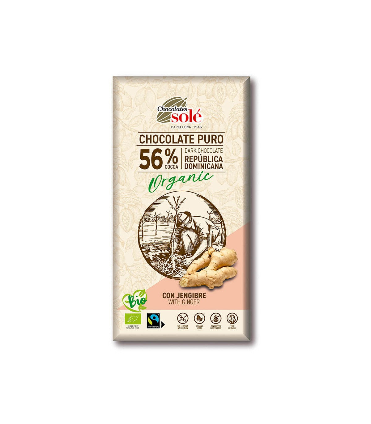 Dark Chocolate with Ginger 100g BIO